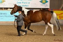 22-APHA HOTC_090